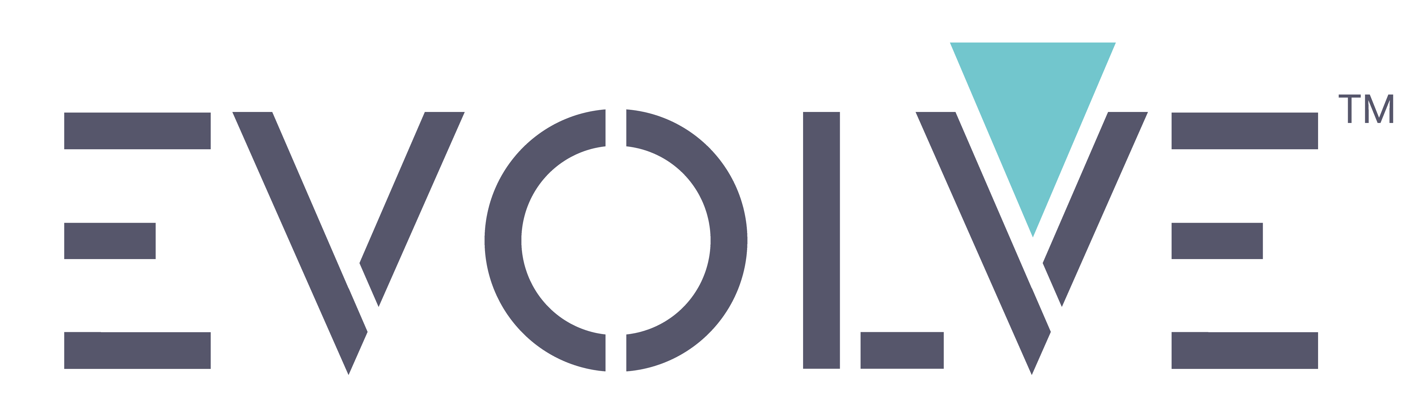 evolve_Email Signature Graphic